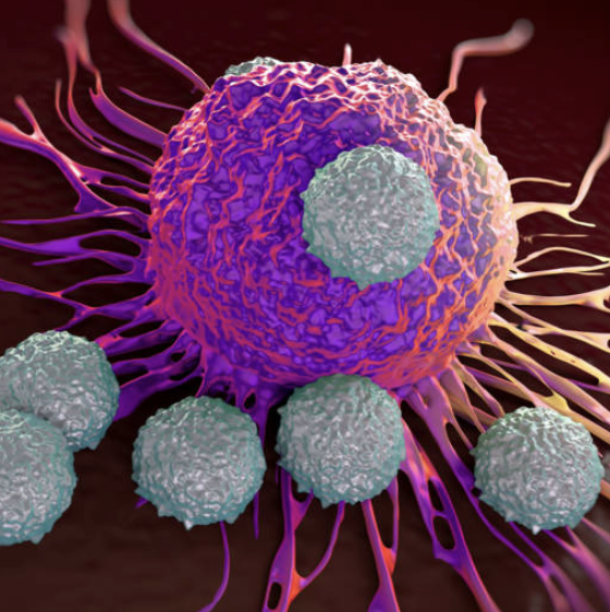 IMMUNOTHÉRAPIE DENDRITIQUE